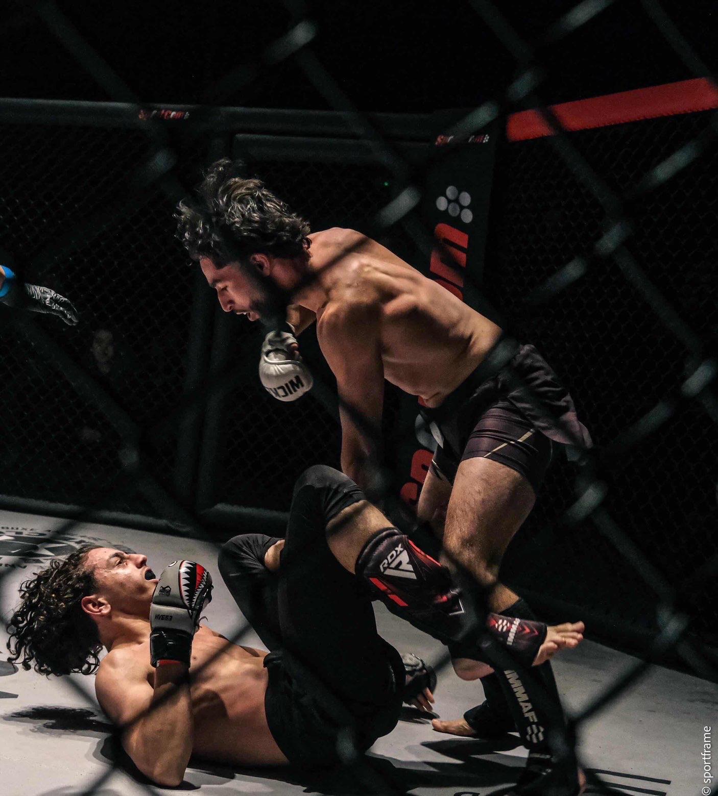 FIGHT IQ — testé en compétition